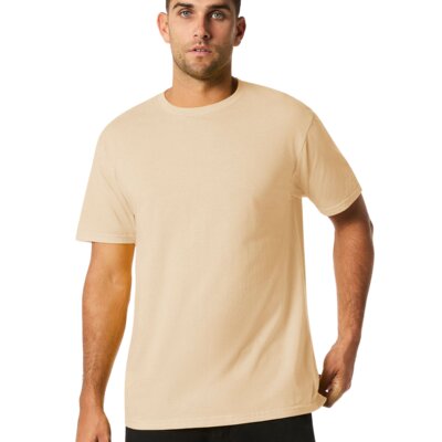 Softstyle Midweight Adult Short Sleeve T-Shirt Thumbnail