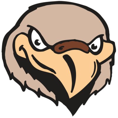 AR FALCON 33 RC Thumbnail