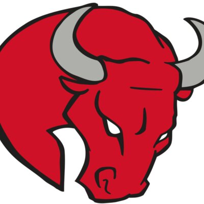 AR BULL 24 RC Thumbnail