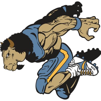 AR14 BUFFALO FBLL 07 RQC Thumbnail