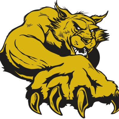 AR WILDCAT 26 RC Thumbnail