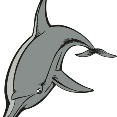 BAW DOLPHIN 03 RC Thumbnail