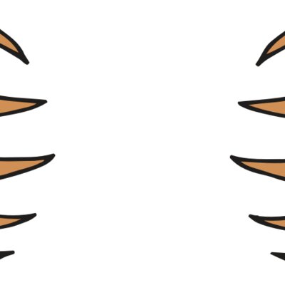 AR BEAR 05 RC Thumbnail