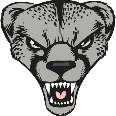 BAW CHEETAH 15 RC Thumbnail