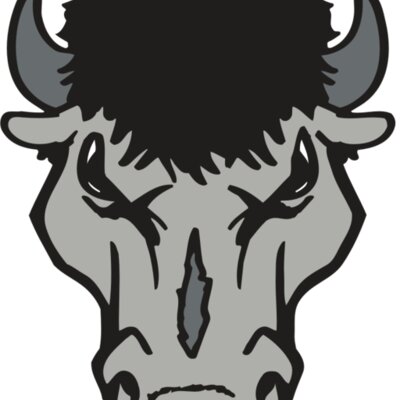 AR BUFFALO 15 RC Thumbnail