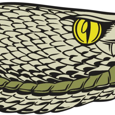 BAW SNAKE 03 RC Thumbnail