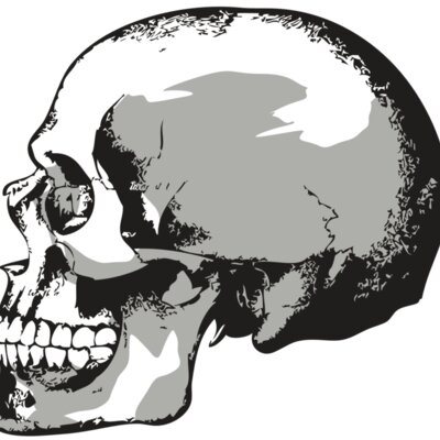 AR24 SKULL 02 RQC Thumbnail