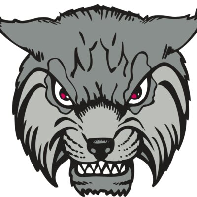 BAW BOBCAT 02 RC Thumbnail