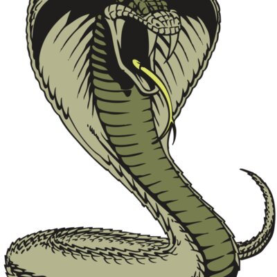 BAW SNAKE 07 RC Thumbnail