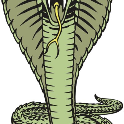 BAW SNAKE 15 RC Thumbnail