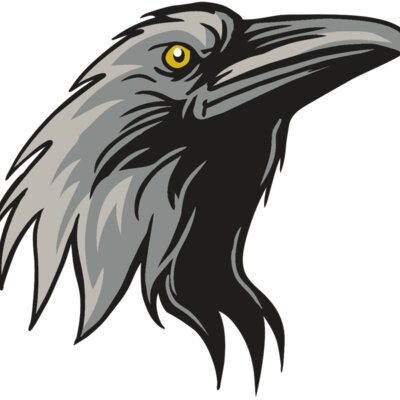 AR31 RAVEN 01 RQC Thumbnail