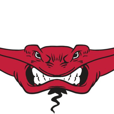 AR19 STINGRAY 03 RQC Thumbnail