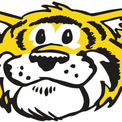 AR TIGER 90 RC Thumbnail