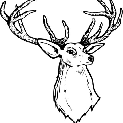 DEER008 Thumbnail